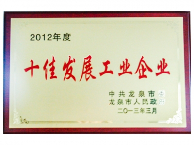 2012年度十佳發展工業企業